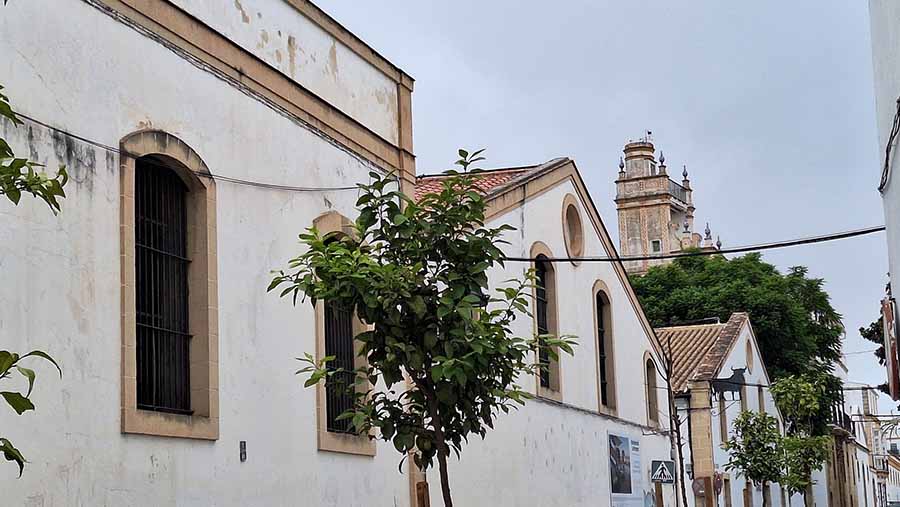 Campo de Guía. Campaña I_03