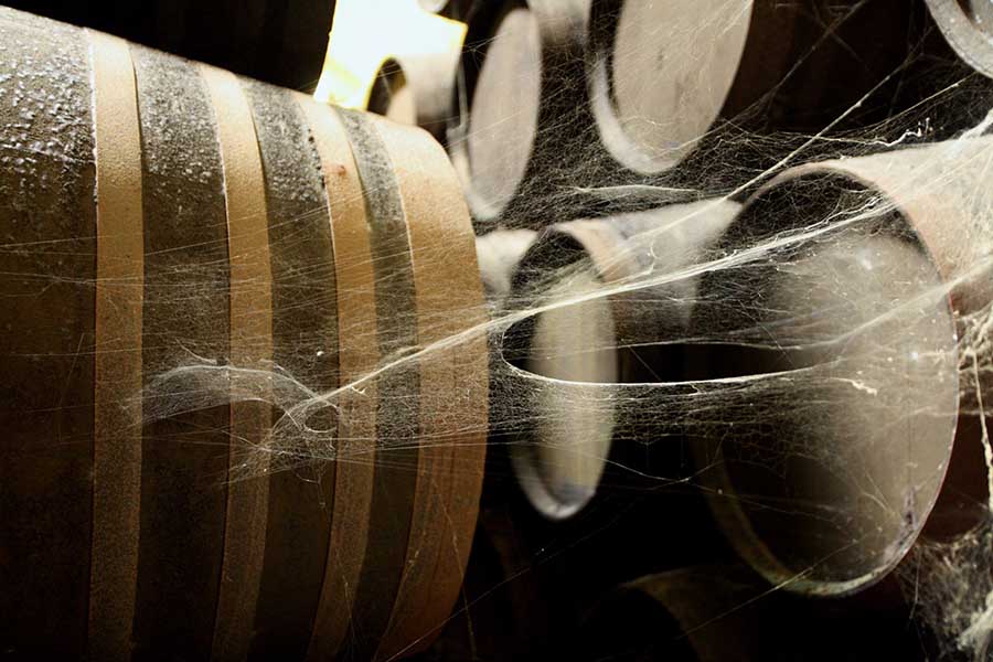 Campo de Guía: el espíritu de las bodegas